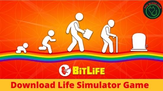 Download Bit Life Simulator hack Game